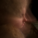 Image for article titled Zoom Photo Challenge Gallery 1